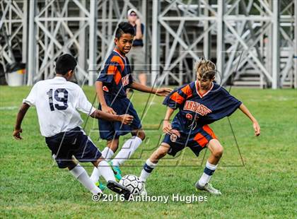Thumbnail 1 in Manhasset vs New Hyde Park photogallery.