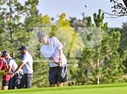 Thumbnail 1 in Jeffco Golf Indian Tree photogallery.