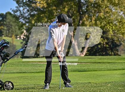Thumbnail 3 in Jeffco Golf Indian Tree photogallery.