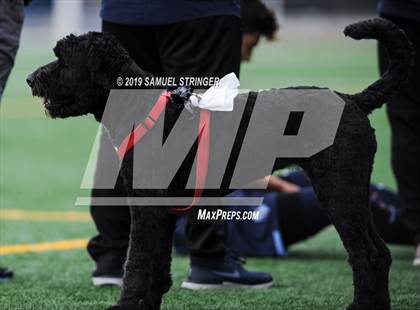 Thumbnail 1 in Central @ Bellarmine College Prep (CIF NorCal D1 Regional Semifinal Playoffs) photogallery.