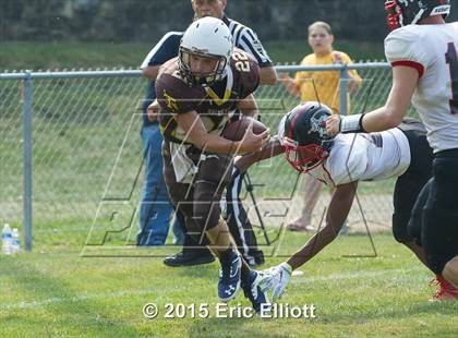 Thumbnail 3 in Franklin @ Titusville photogallery.