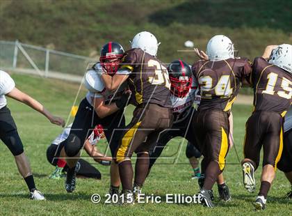 Thumbnail 3 in Franklin @ Titusville photogallery.