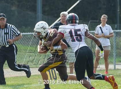 Thumbnail 3 in Franklin @ Titusville photogallery.