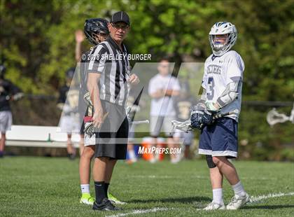Thumbnail 1 in Staples vs. Trumbull  photogallery.