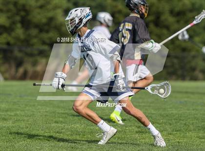 Thumbnail 1 in Staples vs. Trumbull  photogallery.