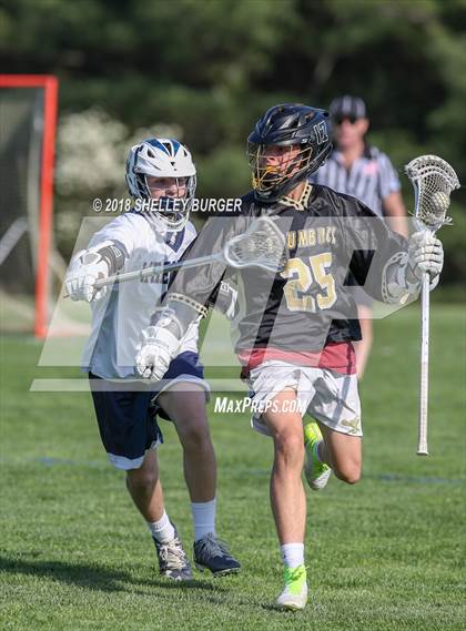 Thumbnail 1 in Staples vs. Trumbull  photogallery.