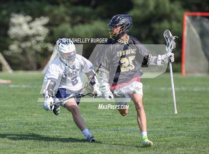 Thumbnail 1 in Staples vs. Trumbull  photogallery.