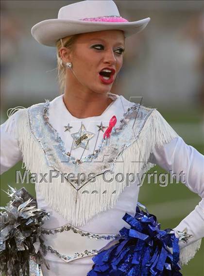 Thumbnail 1 in Leander @ Stony Point photogallery.