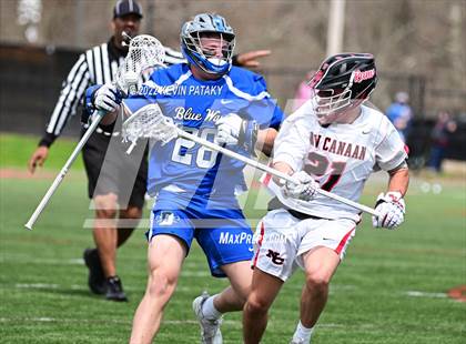 Thumbnail 2 in Darien @ New Canaan photogallery.