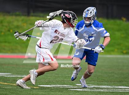 Thumbnail 3 in Darien @ New Canaan photogallery.