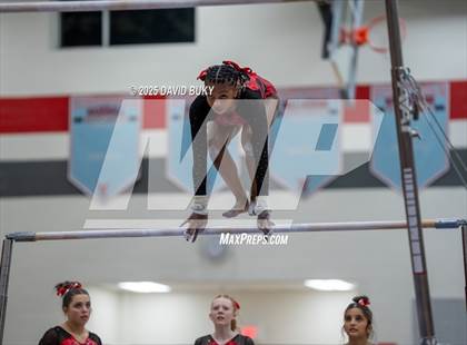 Thumbnail 2 in Gainesville Invitational (Uneven Bars) photogallery.