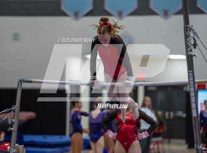 Thumbnail 3 in Gainesville Invitational (Uneven Bars) photogallery.
