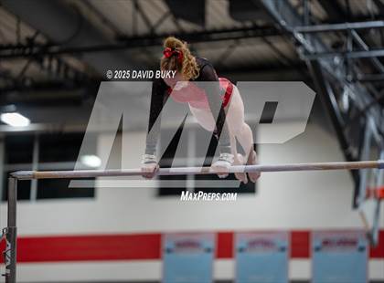 Thumbnail 1 in Gainesville Invitational (Uneven Bars) photogallery.