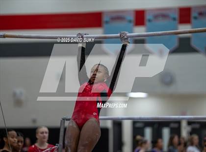 Thumbnail 3 in Gainesville Invitational (Uneven Bars) photogallery.