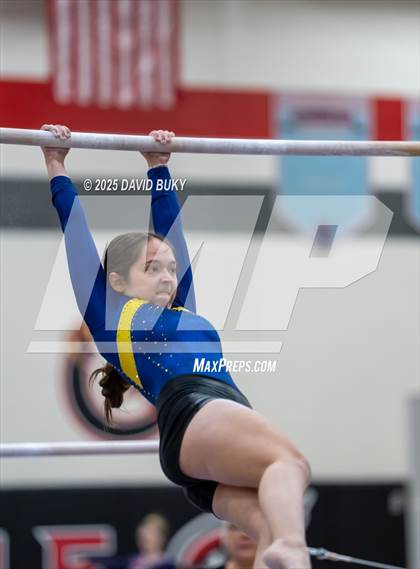 Thumbnail 1 in Gainesville Invitational (Uneven Bars) photogallery.