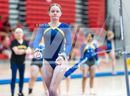 Thumbnail 1 in Gainesville Invitational (Uneven Bars) photogallery.