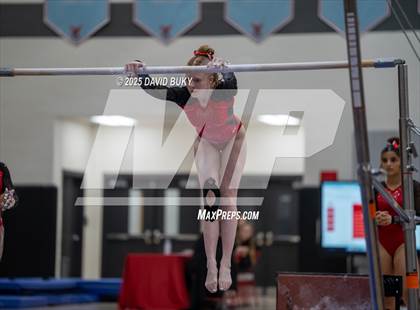 Thumbnail 2 in Gainesville Invitational (Uneven Bars) photogallery.