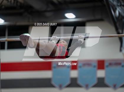 Thumbnail 3 in Gainesville Invitational (Uneven Bars) photogallery.