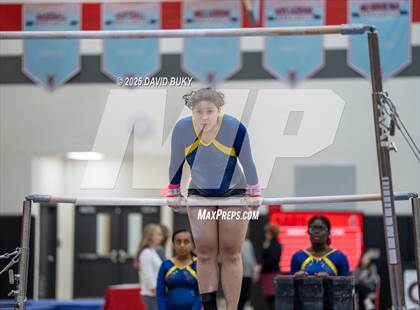 Thumbnail 3 in Gainesville Invitational (Uneven Bars) photogallery.