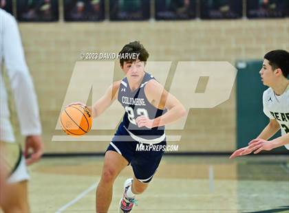 Thumbnail 1 in Columbine vs Bear Creek photogallery.