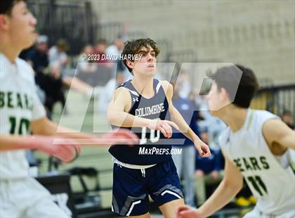 Thumbnail 1 in Columbine vs Bear Creek photogallery.