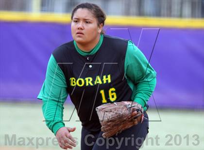 Thumbnail 3 in Borah @ Rocky Mountain photogallery.