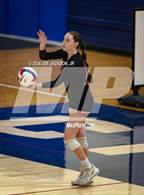 Photo from the gallery "Empire @ Cienega"