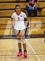 Photo from the gallery "Empire @ Cienega"