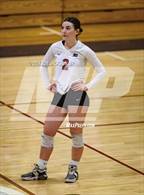 Photo from the gallery "Empire @ Cienega"