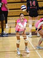 Photo from the gallery "Empire @ Cienega"