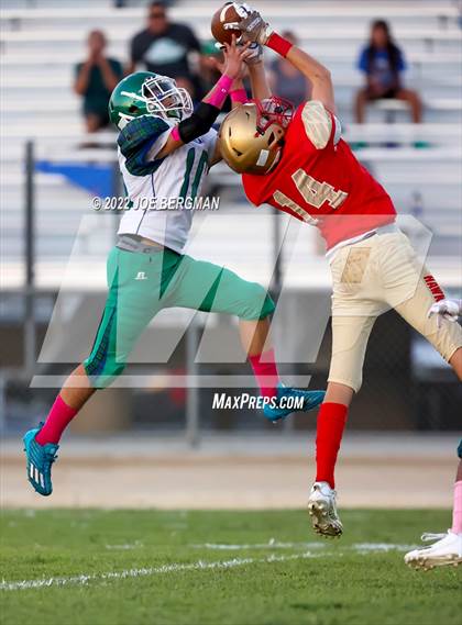 Thumbnail 3 in Highland @ Centennial photogallery.