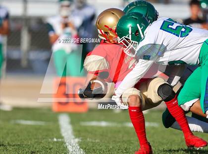 Thumbnail 3 in Highland @ Centennial photogallery.
