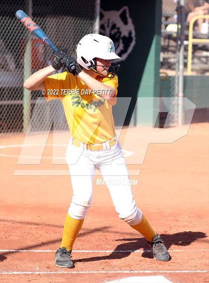 Thumbnail 1 in Cactus Shadows vs Horizon (Double Header) photogallery.