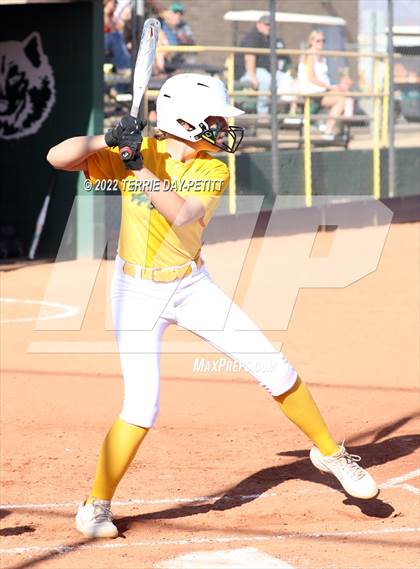 Thumbnail 1 in Cactus Shadows vs Horizon (Double Header) photogallery.