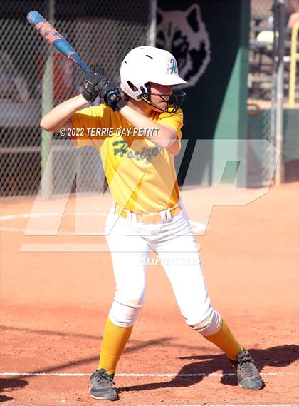 Thumbnail 3 in Cactus Shadows vs Horizon (Double Header) photogallery.