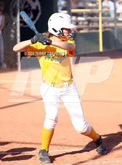 Thumbnail 1 in Cactus Shadows vs Horizon (Double Header) photogallery.