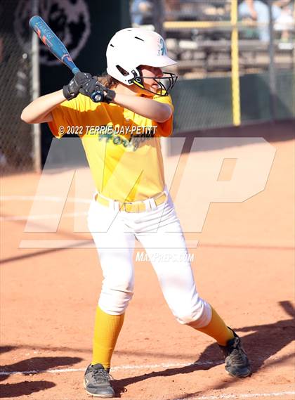 Thumbnail 2 in Cactus Shadows vs Horizon (Double Header) photogallery.