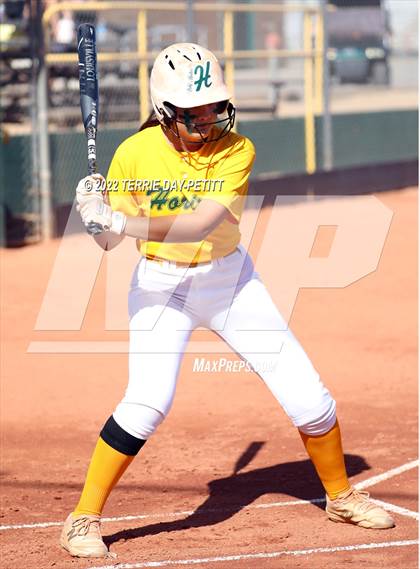 Thumbnail 1 in Cactus Shadows vs Horizon (Double Header) photogallery.