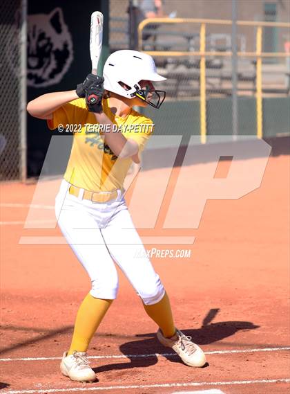 Thumbnail 2 in Cactus Shadows vs Horizon (Double Header) photogallery.