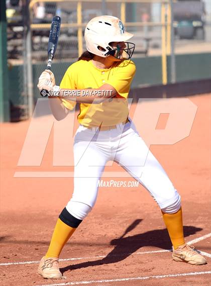 Thumbnail 2 in Cactus Shadows vs Horizon (Double Header) photogallery.