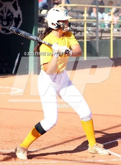 Thumbnail 1 in Cactus Shadows vs Horizon (Double Header) photogallery.