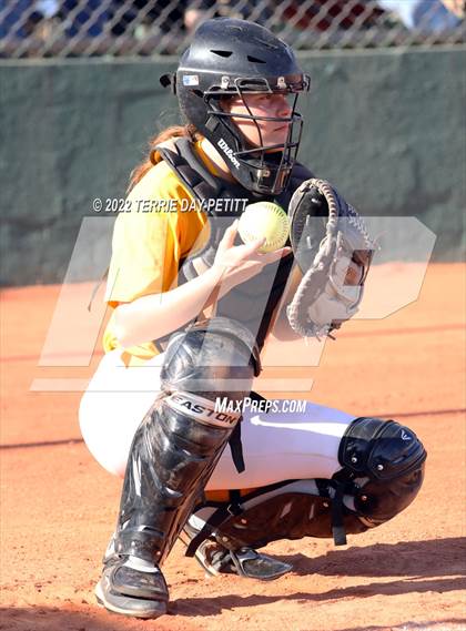 Thumbnail 1 in Cactus Shadows vs Horizon (Double Header) photogallery.