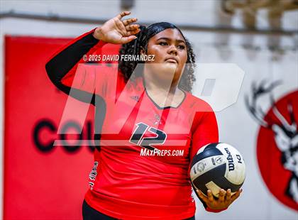 Thumbnail 2 in JV: Pine Forest @ Hoke County photogallery.