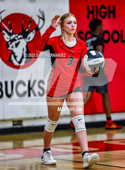 Thumbnail 1 in JV: Pine Forest @ Hoke County photogallery.
