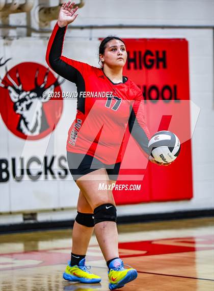 Thumbnail 3 in JV: Pine Forest @ Hoke County photogallery.