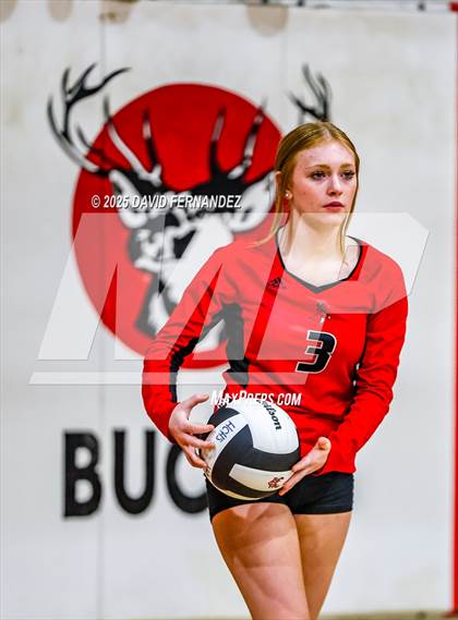 Thumbnail 2 in JV: Pine Forest @ Hoke County photogallery.
