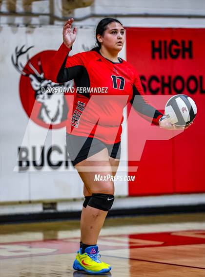 Thumbnail 3 in JV: Pine Forest @ Hoke County photogallery.