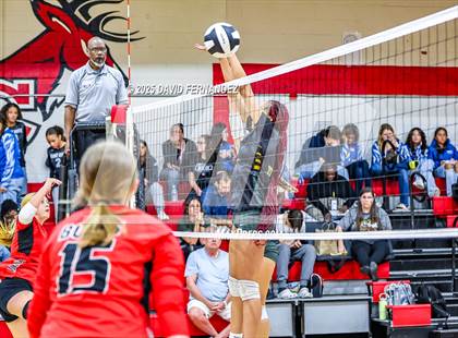 Thumbnail 1 in JV: Pine Forest @ Hoke County photogallery.