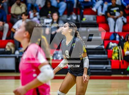 Thumbnail 1 in JV: Pine Forest @ Hoke County photogallery.
