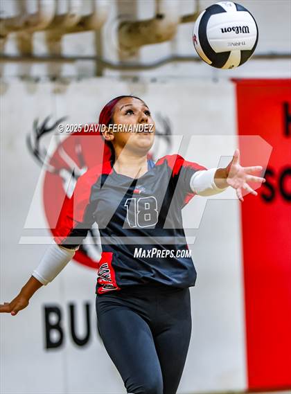 Thumbnail 3 in JV: Pine Forest @ Hoke County photogallery.